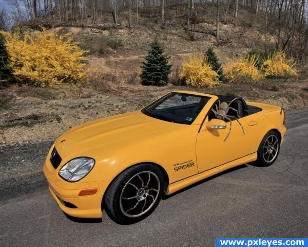 SLK Spider